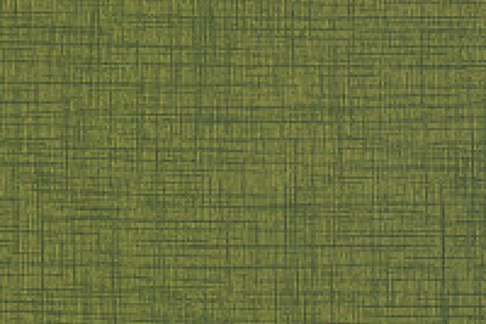 Terra Emerald Terra Emerald