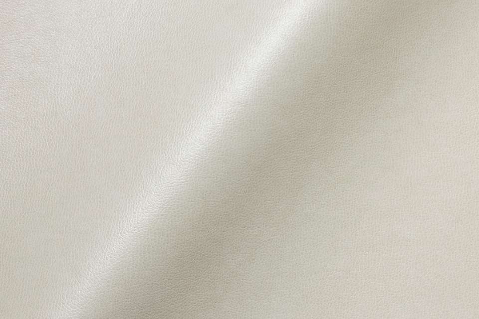 Stipple Ivory Stipple Ivory