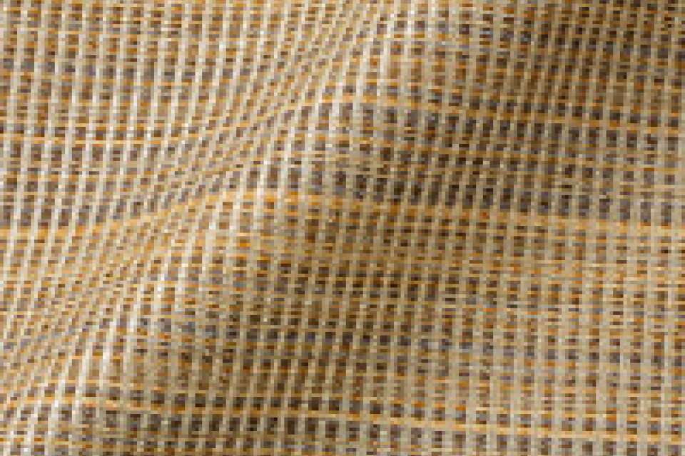 Suji Stripe Canary Suji Stripe Canary