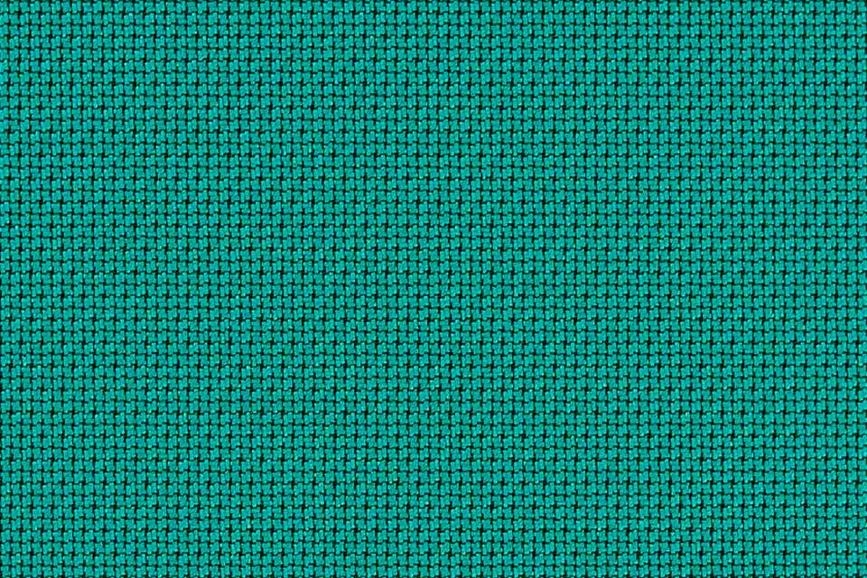 Cross Check Peacock Cross Check Peacock