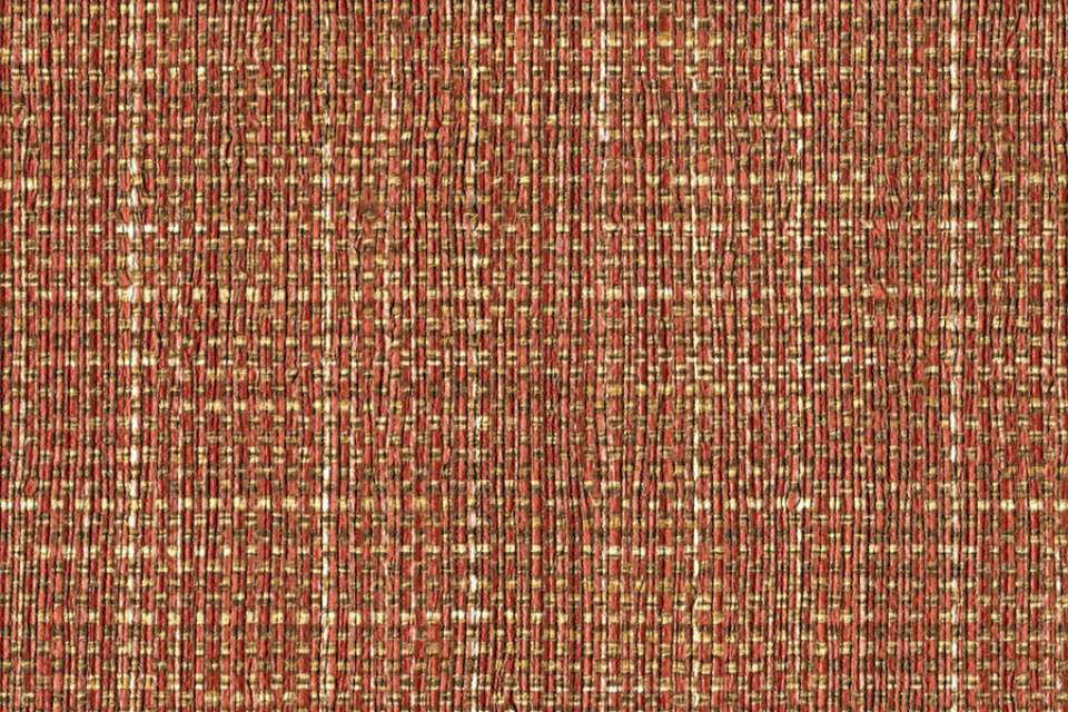 Wayside Coral Orange