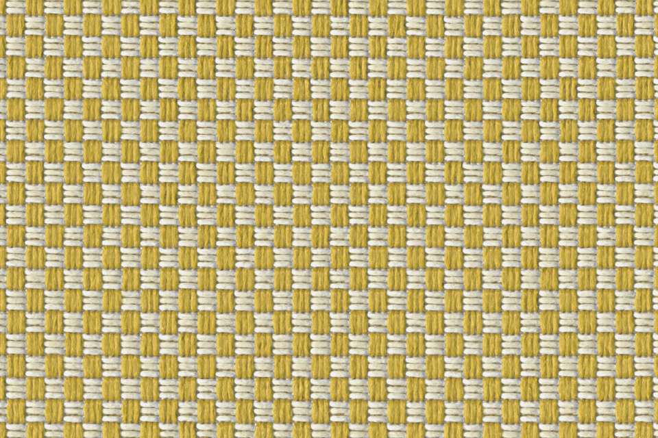 Emblem Canary