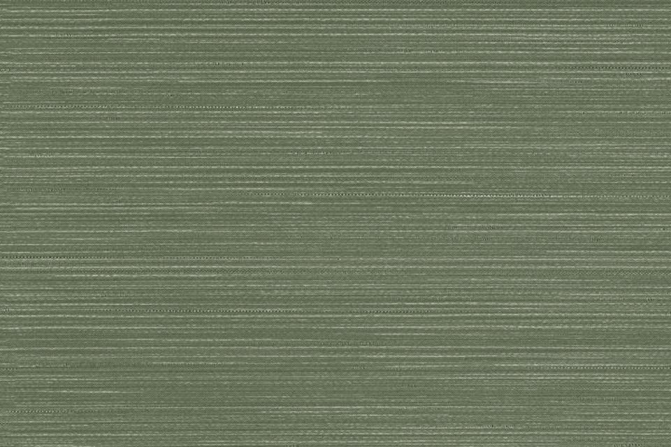 Wanderer Matcha Wanderer Matcha