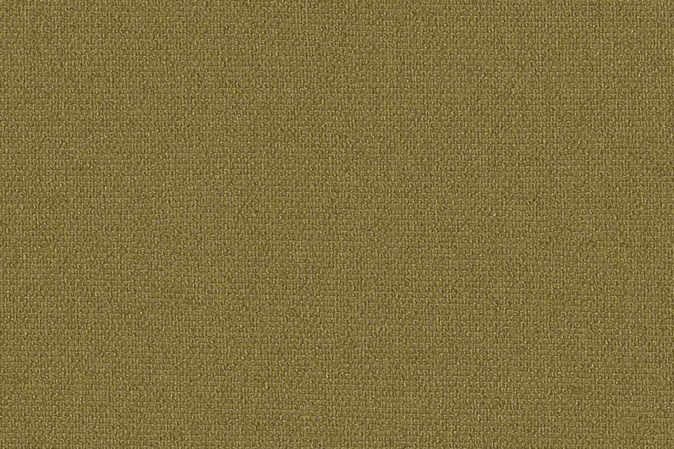 Tiny Boucle Finch Tiny Boucle Finch