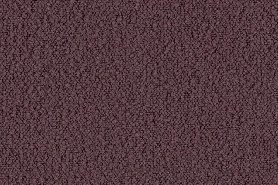 Ritzi Mauve