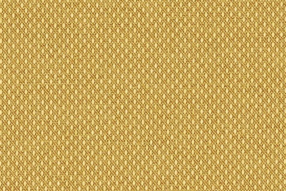 Variant Mustard Variant Mustard