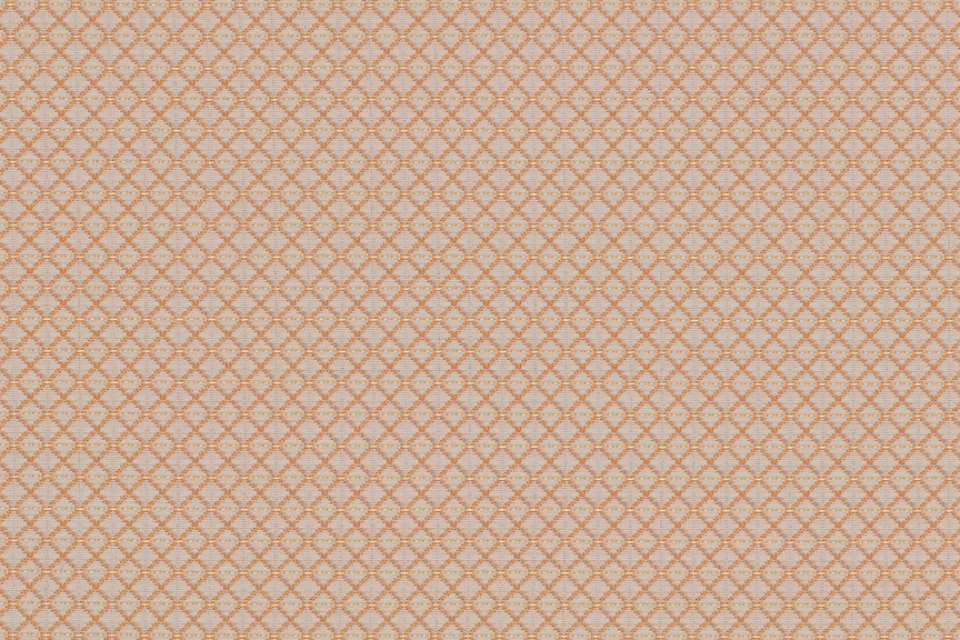 Tracery Papaya
