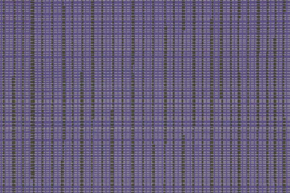 Scuttle Purple Scuttle Purple