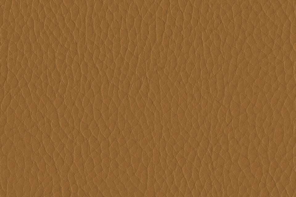 Tottori Burnt Ochre