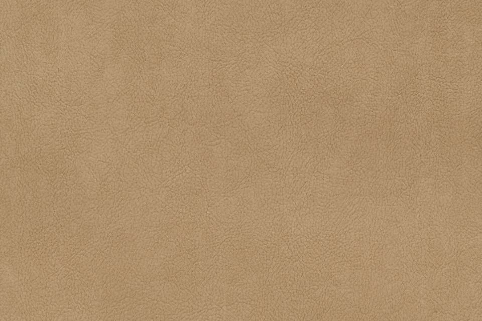 Palomino 3 Palomino 3