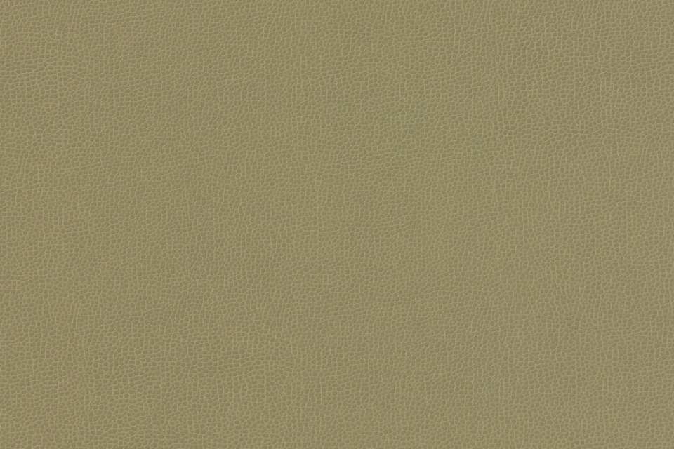 Siltech Grain 10 Siltech Grain 10
