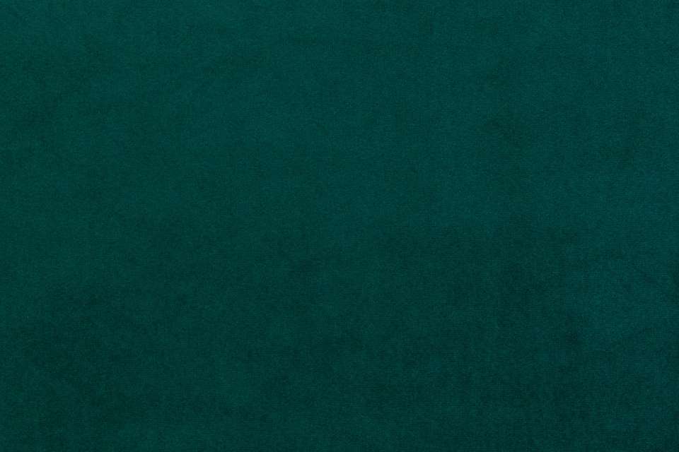 Pigment 19 Pigment 19