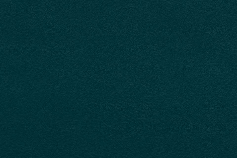 Stark Leather Pacific Stark Leather Pacific