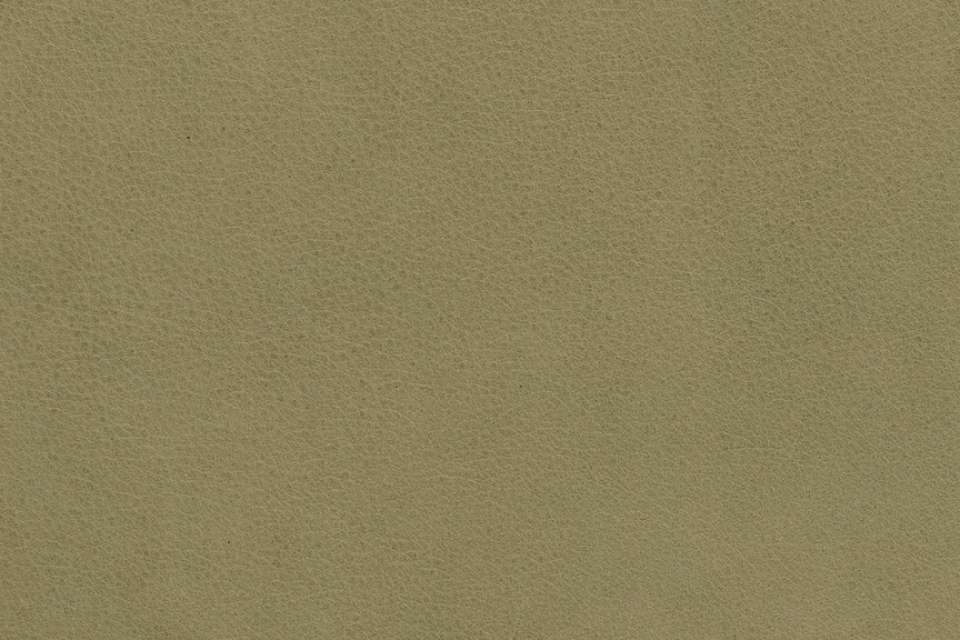 Loam Leather Willow