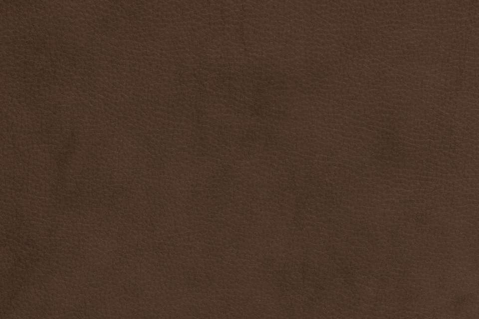Steep Leather Sparrow Steep Leather Sparrow