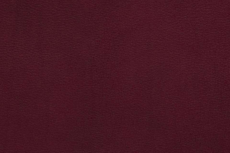 Steep Leather Darling Steep Leather Darling