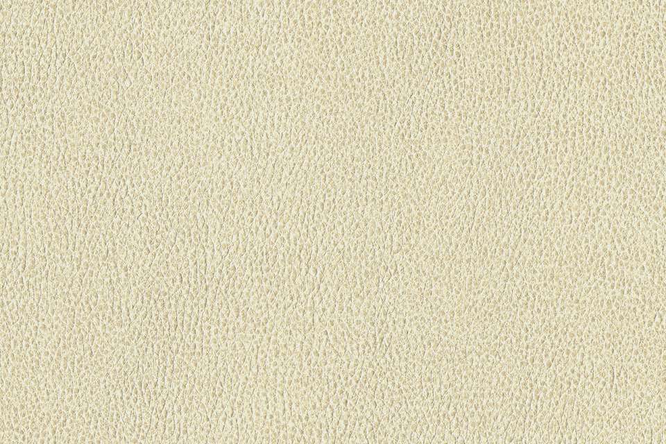 Ethos Parchment