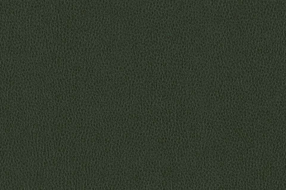 Ethos Viridian