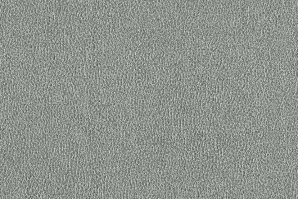 Ethos Mica