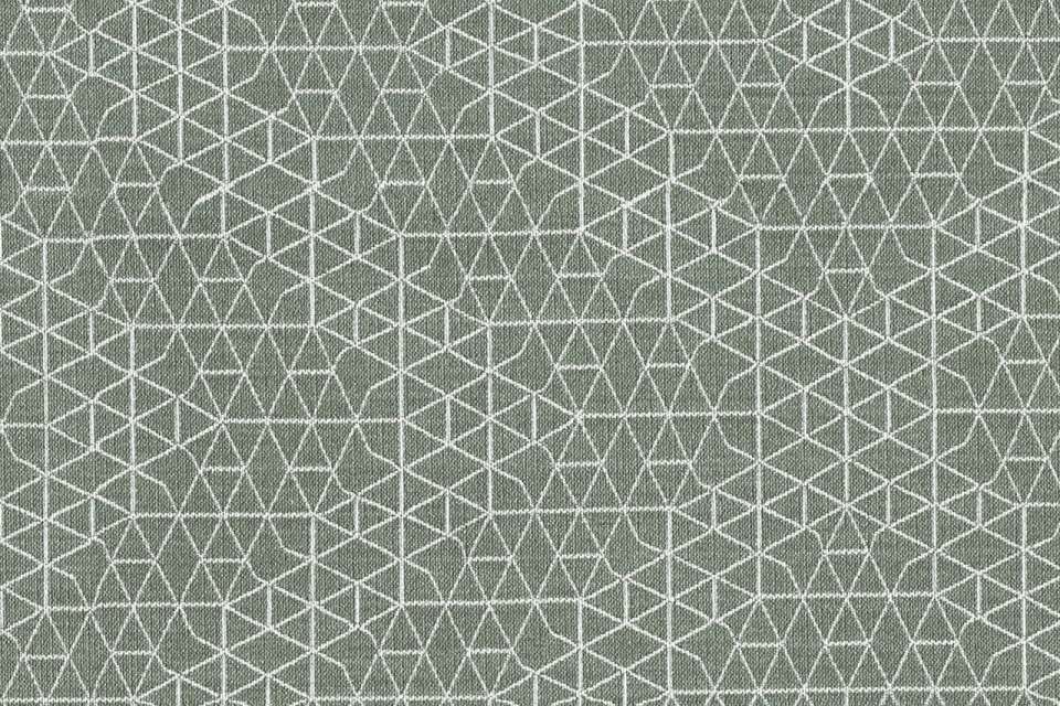 Facet Succulent Facet Succulent