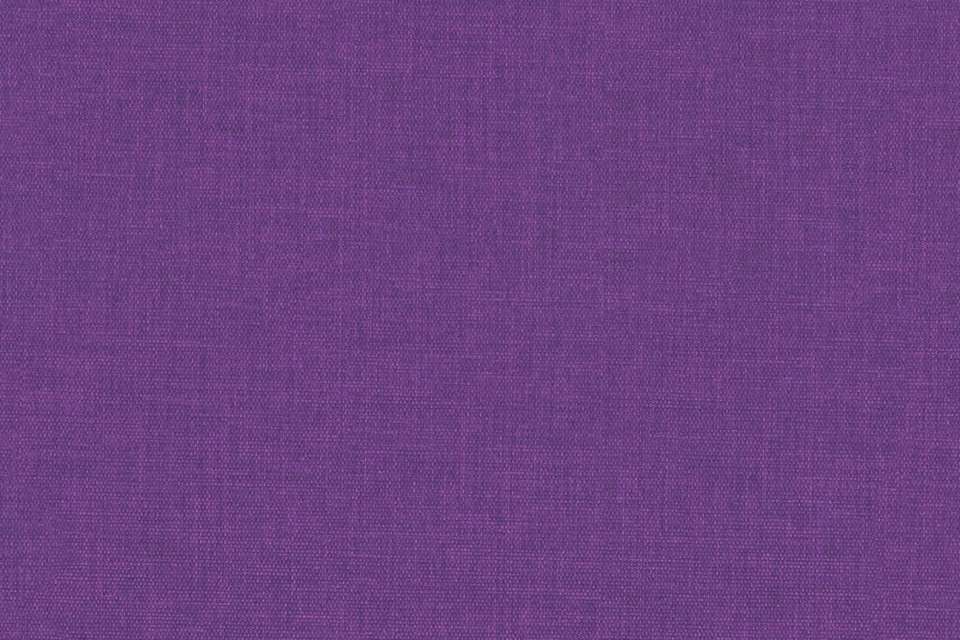 Insight #13 Amethyst
