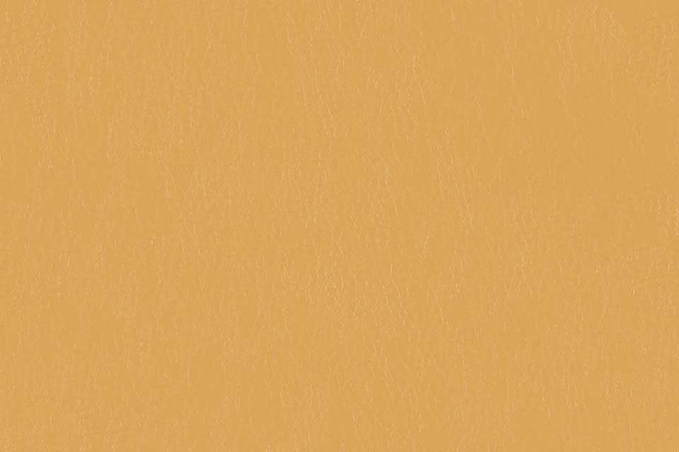 Stallion #7 Butterscotch Stallion #7 Butterscotch