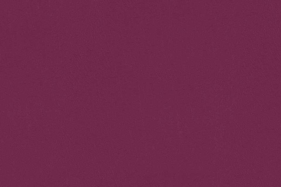 All Seasons Magenta All Seasons Magenta