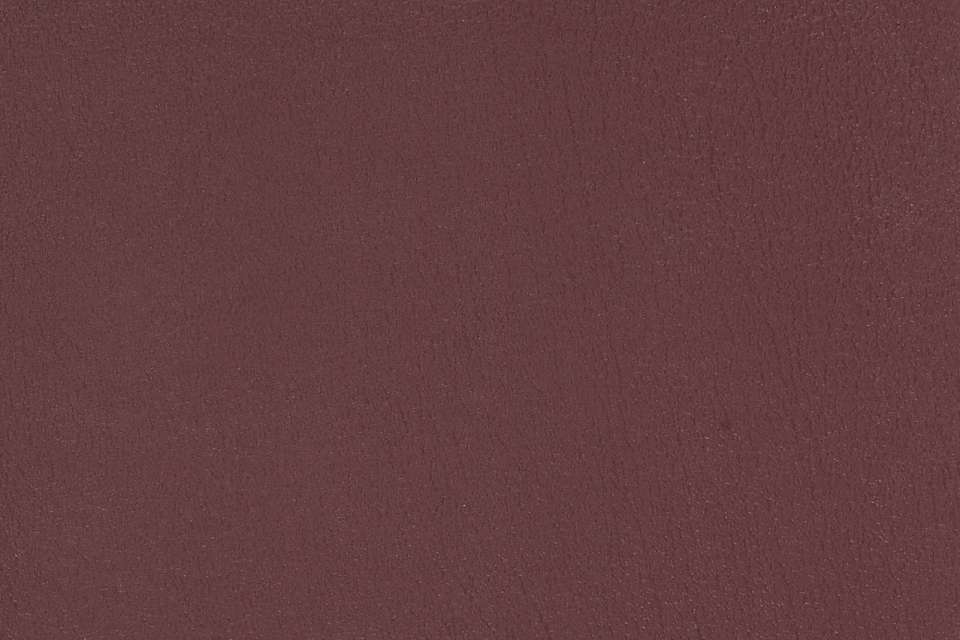 All Seasons Grape All Seasons Grape
