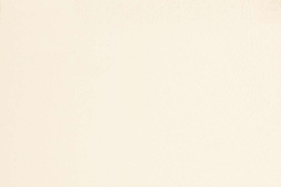 All Seasons Bone White