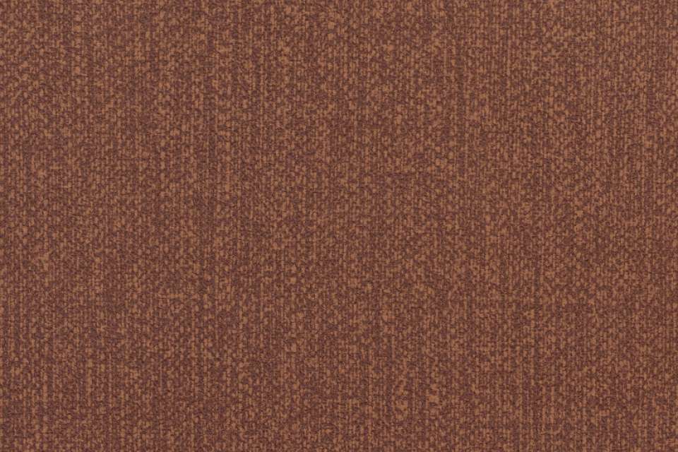 Alea Coppery