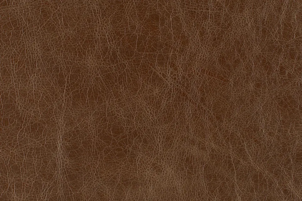 Aviator Leather Wingspan