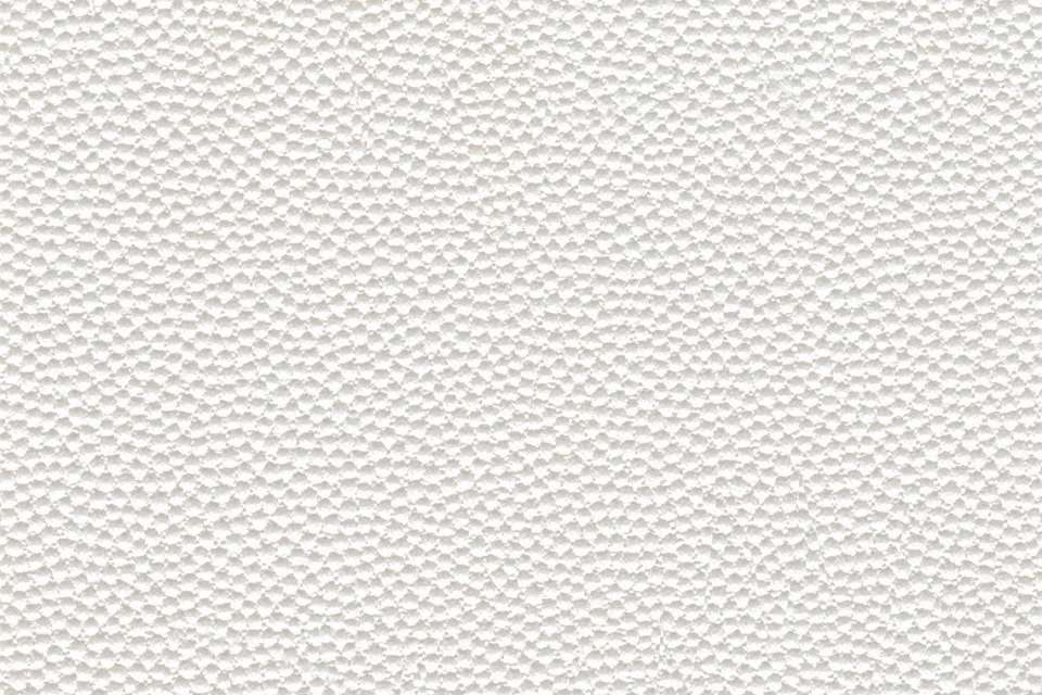 Bijou Gesso