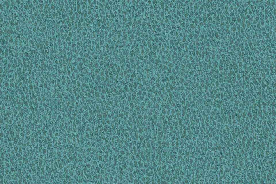 Biograin Pooltide