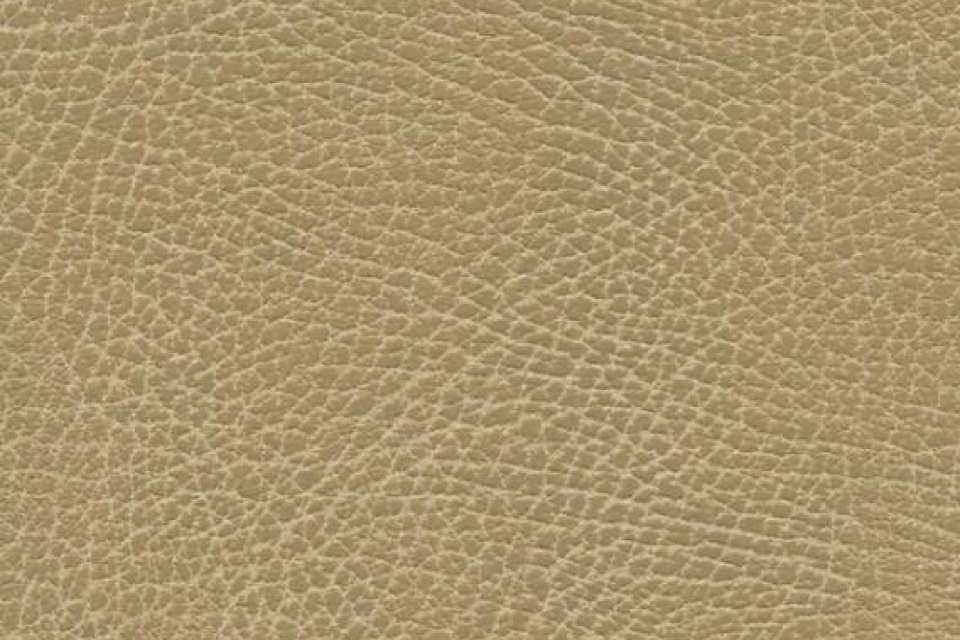 Brisa Distress Buckskin