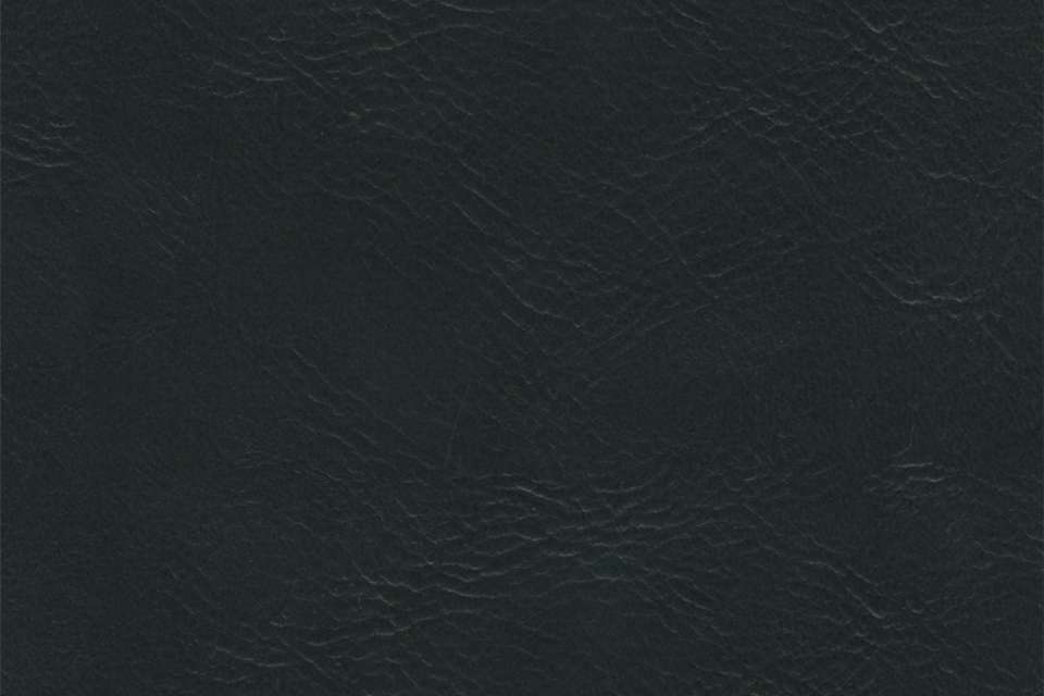 Britannia Poseidon Britannia Poseidon