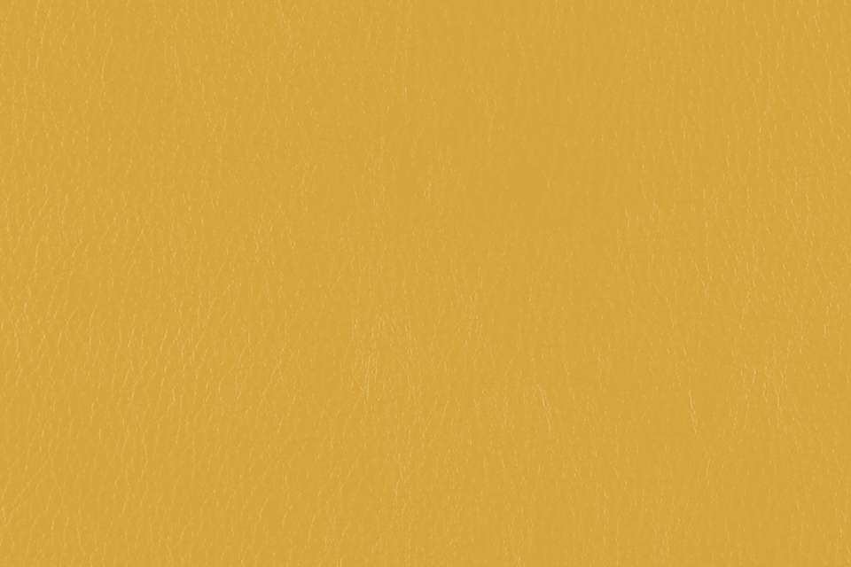 Caressa Lemon Caressa Lemon