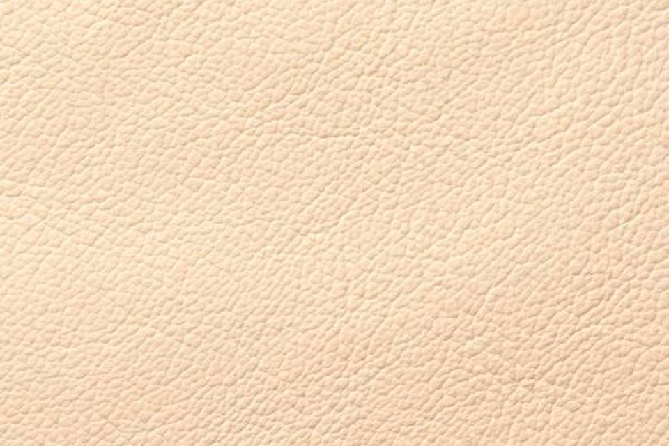 Showcase Eco Leather Cream Showcase Eco Leather Cream