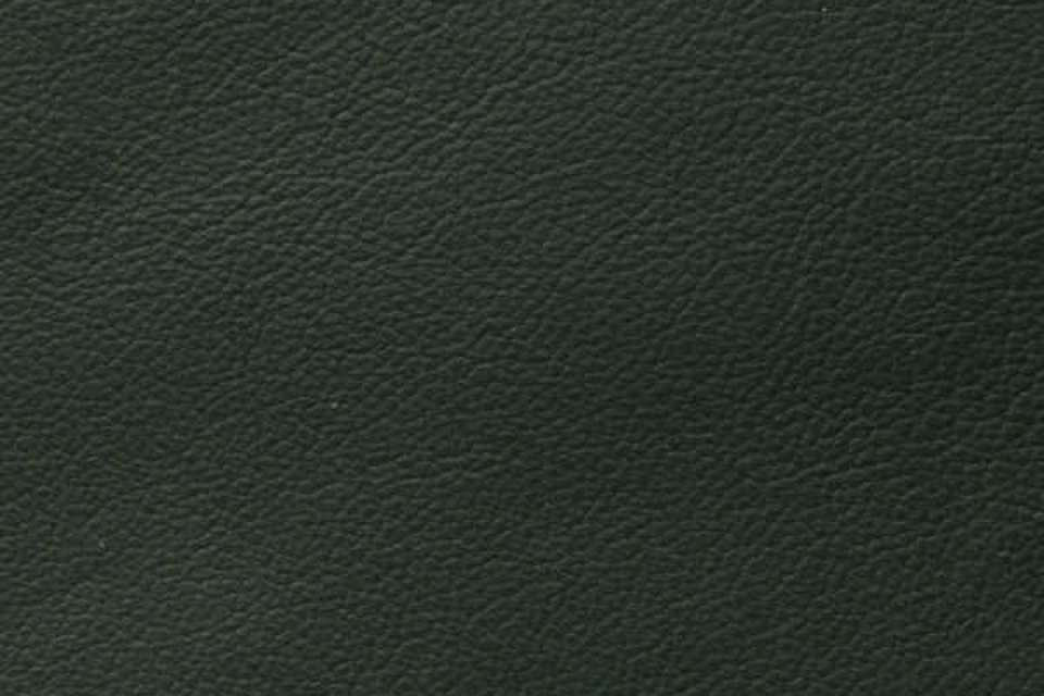 Showcase Eco Leather Evergreen Showcase Eco Leather Evergreen