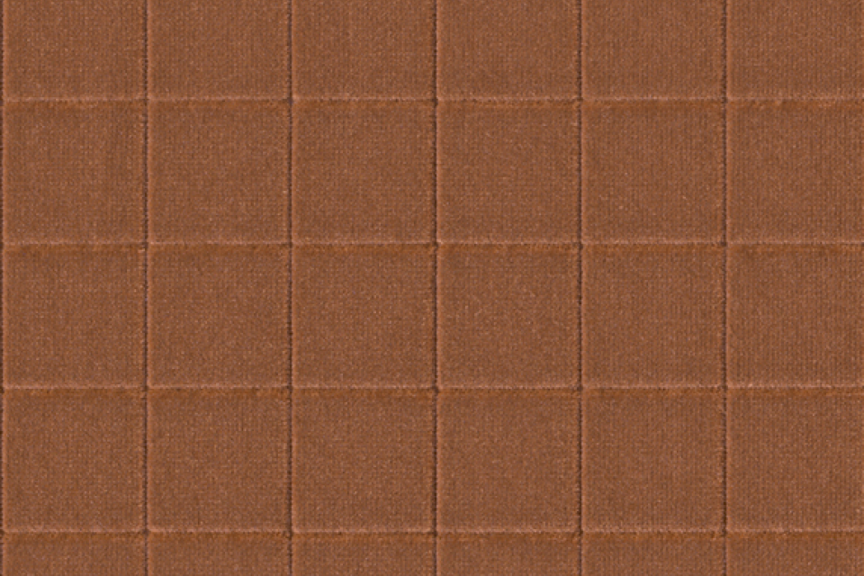 Catalog Cattail