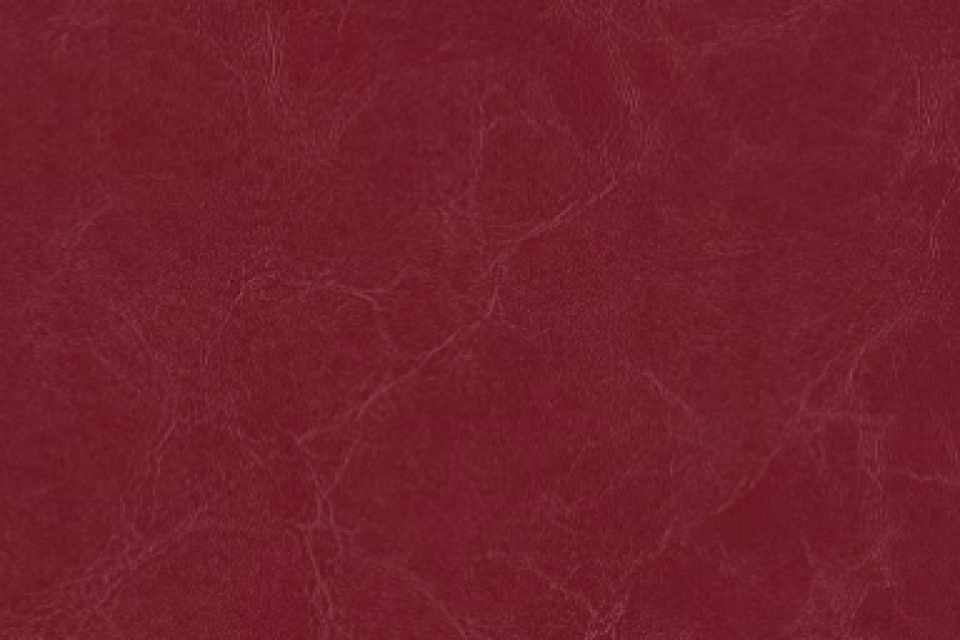 Celebrity Cv Carmine