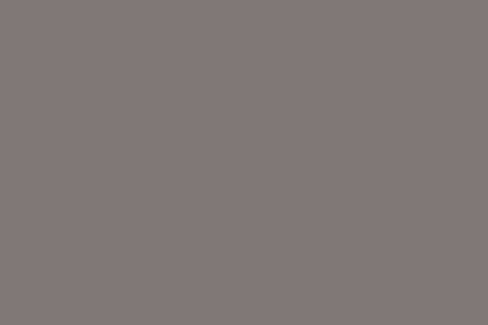 Concrete Taupe