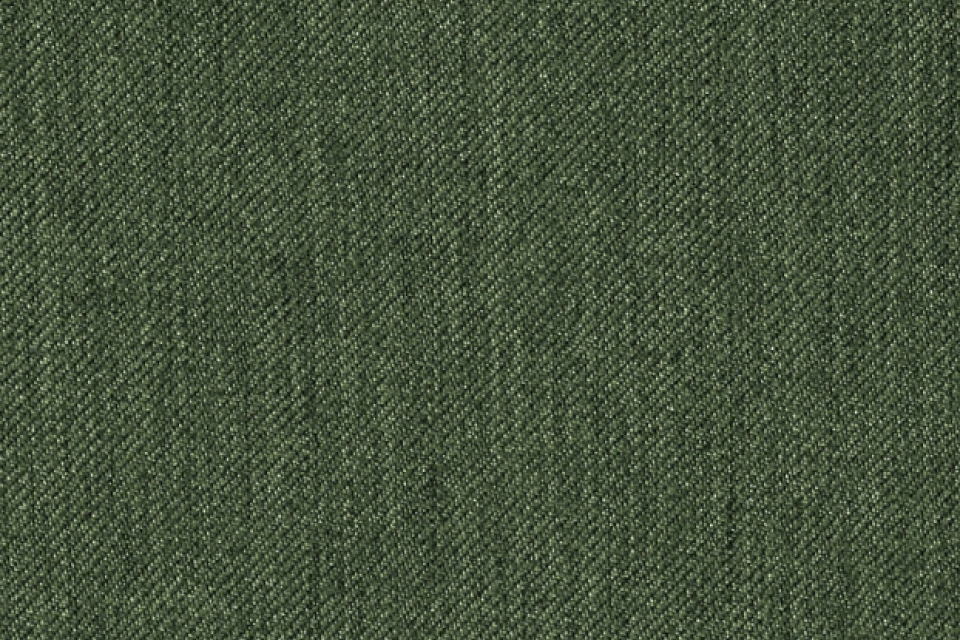 Dovetail Evergreen