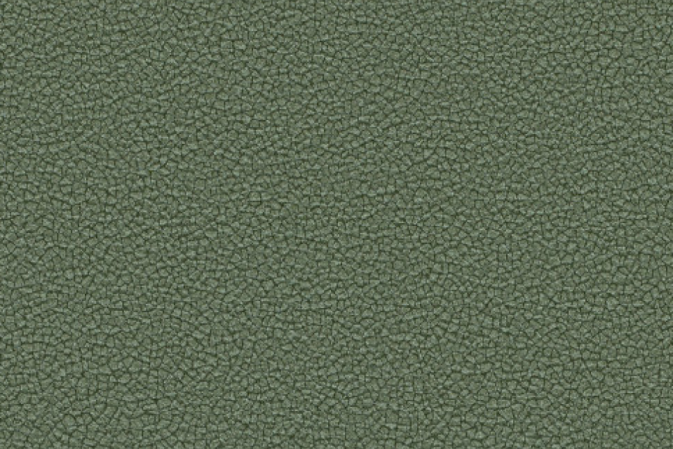 Dune Glade