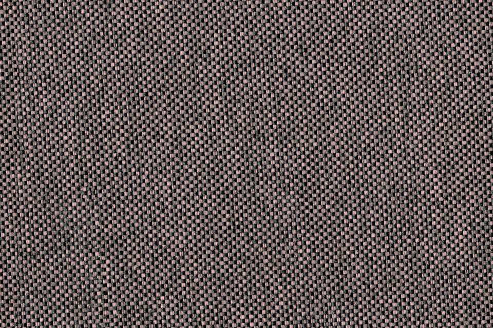 Rivet Woodrose Rivet Woodrose