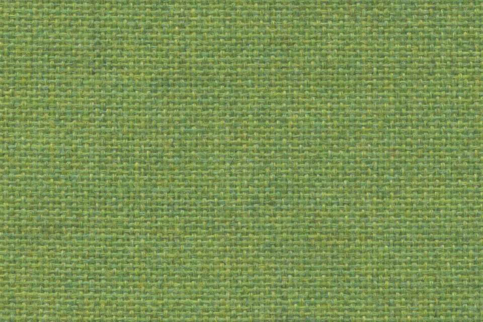 Equal Lime Equal Lime