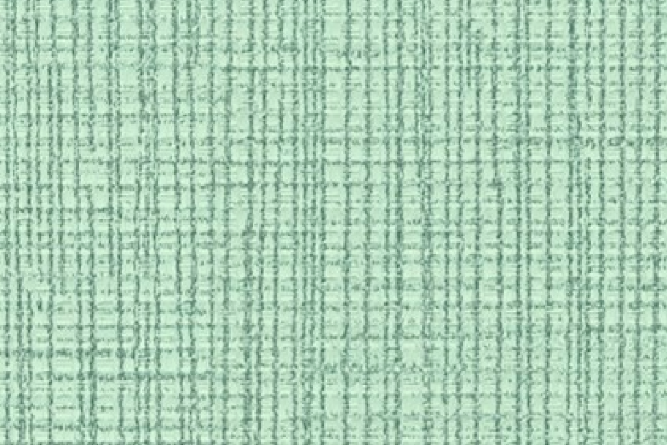 Etch Meadow