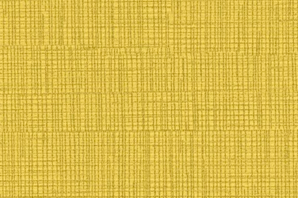 Etch Sunshine