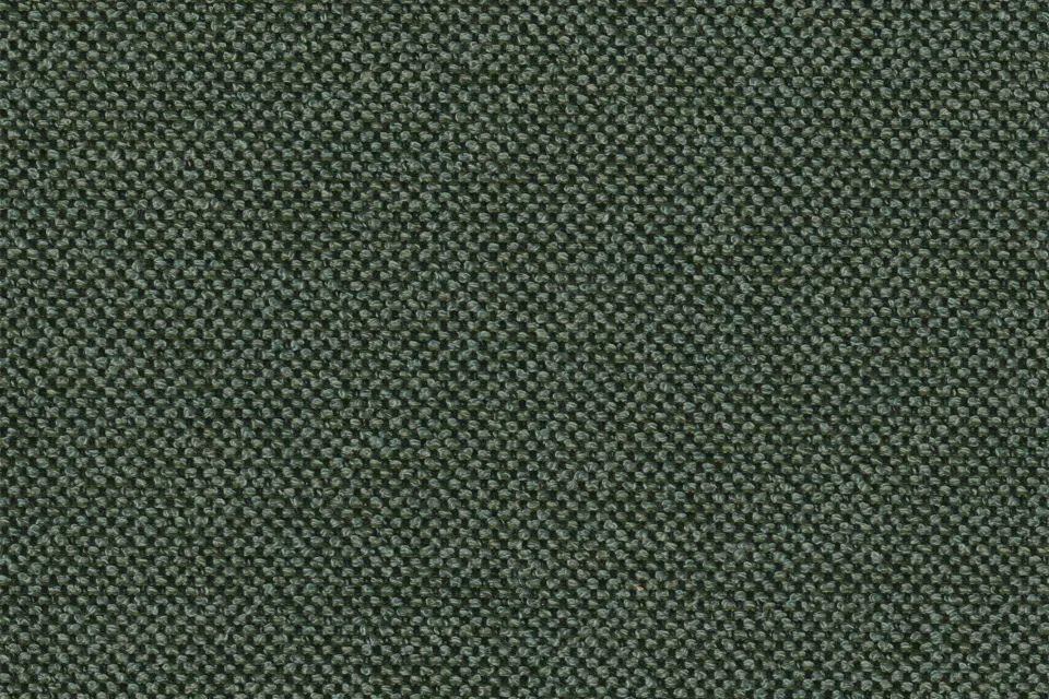 Ground Cover Conifer