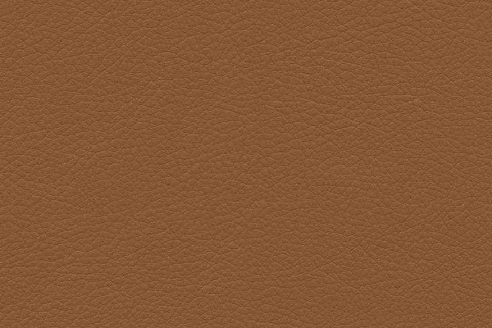 Premier Cinnamon