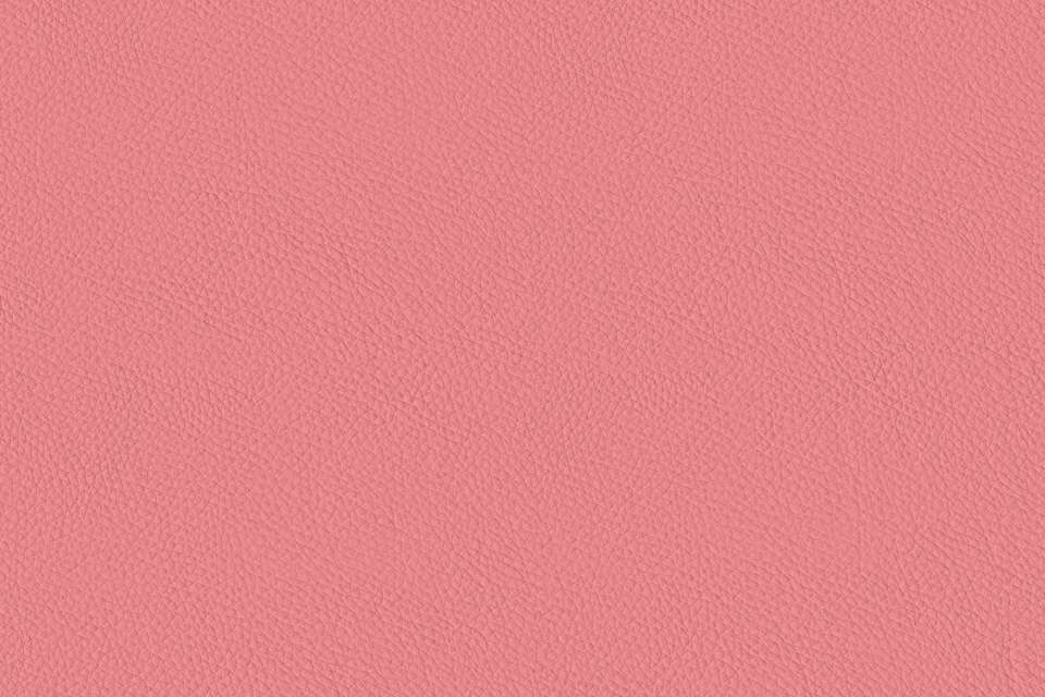 California Dragonfruit